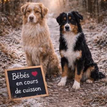 8D6A635A-3110-4250-AB94-347982691941